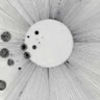 agrypnotica